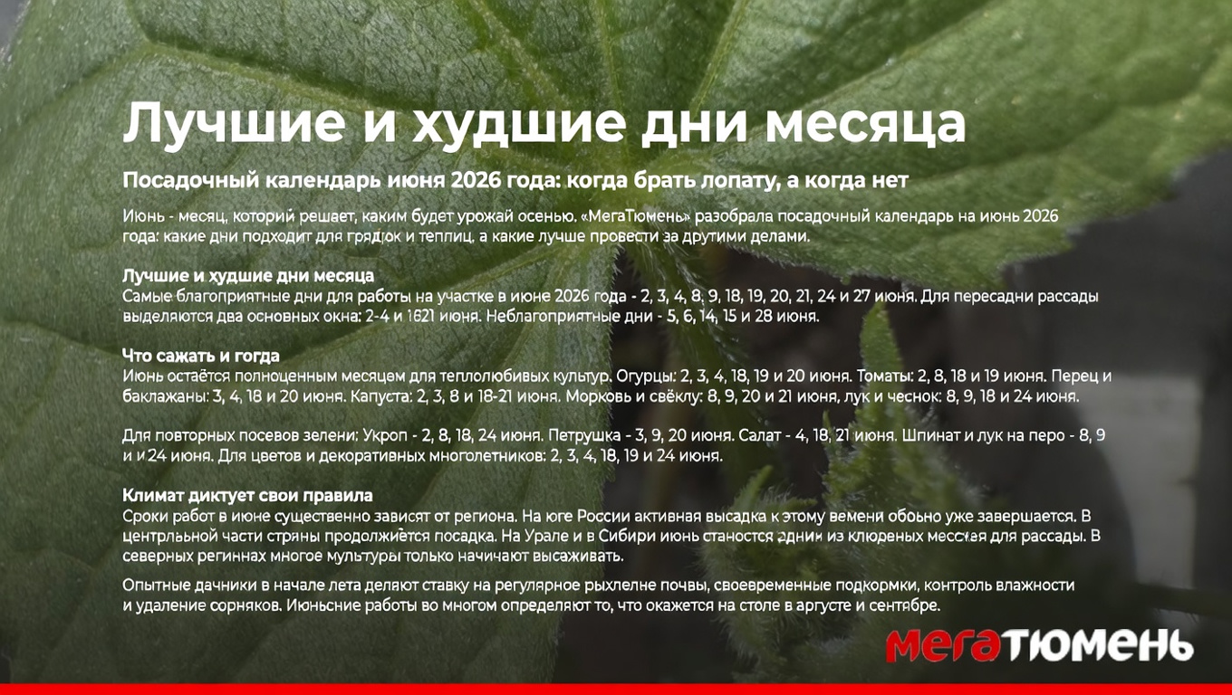 Лучшие и худшие дни месяца