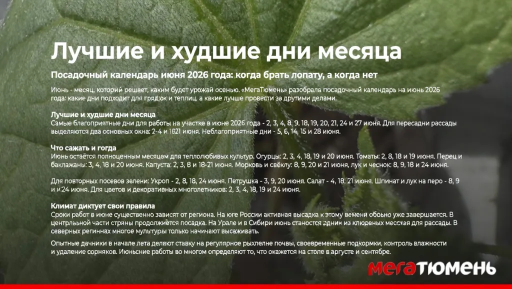 Лучшие и худшие дни месяца