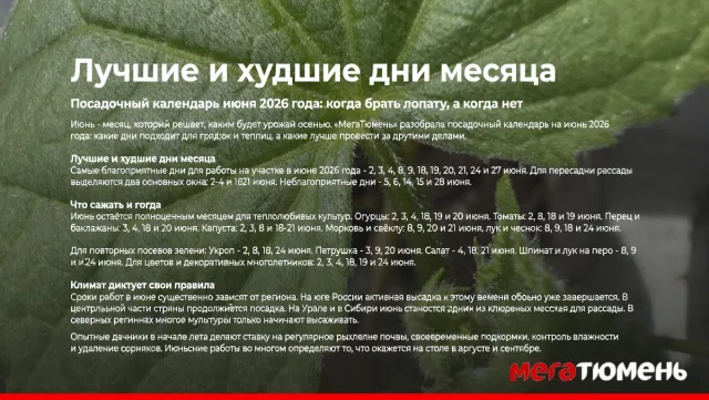 Лучшие и худшие дни месяца